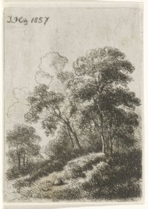 Bomen op een heuvel