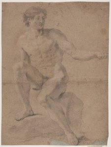 Mannelijk Modelstudie door Hendrik Krock