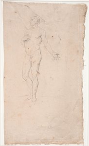 Mannelijk modelstudie, staand