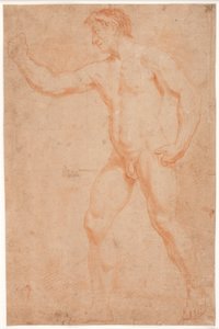 Mannelijk modelstudie, staand, met opgeheven arm