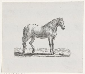 Paard door Hendrik Numan
