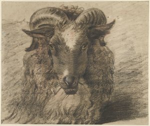 Kop van een ram door Hendrik Stokvisch