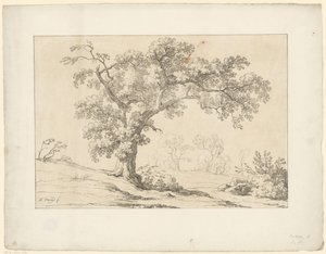 Boom in landschap door Hendrik Voogd