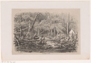 Omgewaaide bomen aan de Jacobalaan, na de storm van 28 mei 1860 door Hendrik Wilhelmus Last