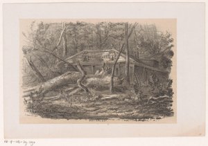 Omgewaaide boom bij Buitenlust, na de storm van 28 mei 1860 door Hendrik Wilhelmus Last