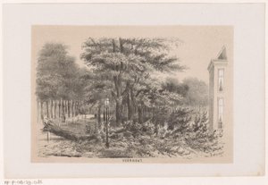 Omgewaaide boom bij Voorhout, na de storm van 28 mei 1860 door Hendrik Wilhelmus Last
