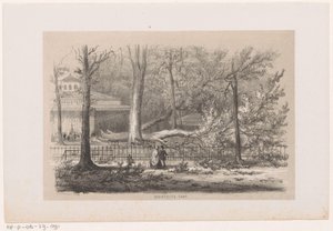 Omgewaaide boom bij de sociëteit, na de storm van 28 mei 1860 door Hendrik Wilhelmus Last