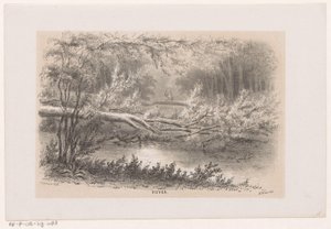 Omgewaaide boom, na de storm van 28 mei 1860 door Hendrik Wilhelmus Last