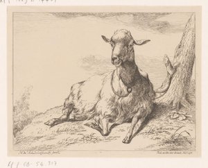 Liggende geit door Hendrik Willem Schweickhardt