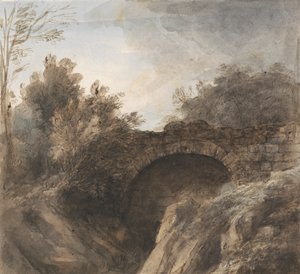 Brug Over een Diepe Kloof
