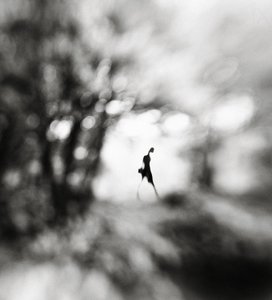 Etherische, eenzame figuur