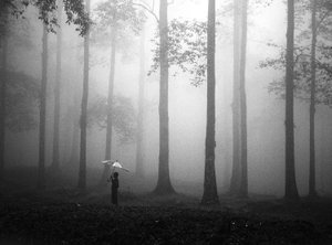 Misty Woods-paraplu