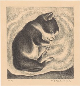 Slapende, jonge kat door Henk Henriët (signed by artist)