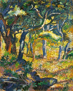 Een open plek in de Provence (studie) door Henri-Edmond Cross