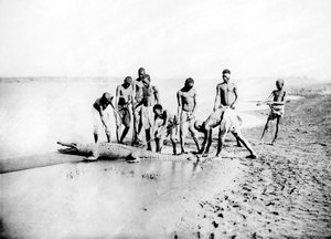 Jacht op een krokodil, Nubië, Egypte, 1887