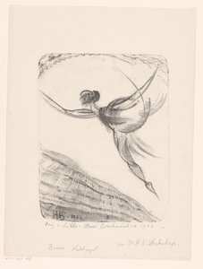 Dansen. Nachtvogel