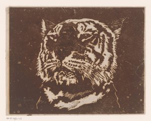 Tijger