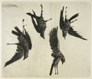 De vier dode raven