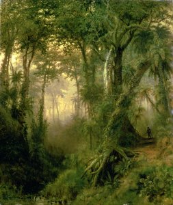Een Jager in de Cubaanse Jungle, Zonsopgang door Henri Cleenewerck