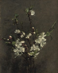 Bloesems van fruitbomen door Ignace Henri Jean Fantin Latour