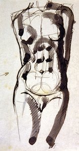 Vrouwelijke torso