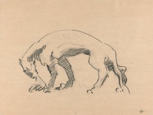 Leeuwin in profiel door Henri Gaudier Brzeska