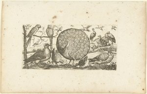 Achttien vogels door Henri Le Roy