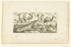 Negentien vogels door Henri Le Roy