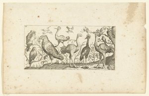 Twaalf vogels (Vogels) door Henri Le Roy