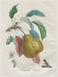 Traité des arbres fruitiers: Royal d