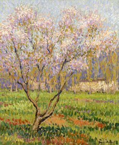 Appelboom in Bloei door Henri Martin