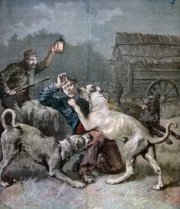 Een crimineel aangevallen door drie grote honden, 1891
