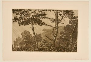 [Bomen in de regenbui] door Henri Rivière