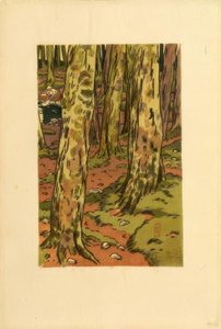 Wasplaats in het bos bij Loguivy