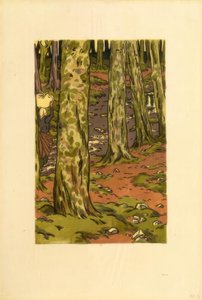 Wasplaats in het bos bij Loguivy