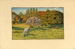 Klein bos bij de Béret (Douarnenez)