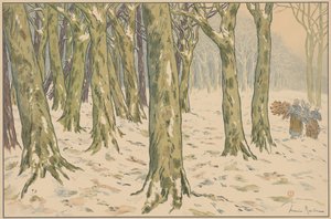 Het bos, winter