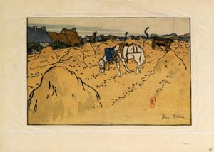 Een paard en het dorp La Chapelle (Saint-Briac)