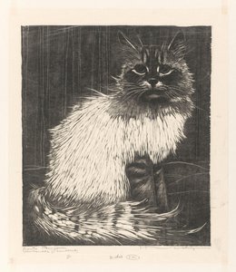 Bonte Angora door Henri Verstijnen (signed by artist)
