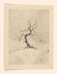 Eenzame boom door Henri Verstijnen (signed by artist)