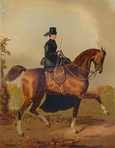 Een damespaard - Het eigendom van de overleden graaf van Pembroke door Henri d