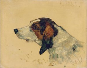 Jachthond, 1881