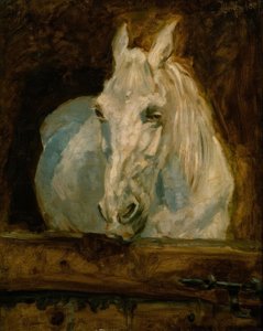 Het witte paard Gazelle door Henri de Toulouse Lautrec