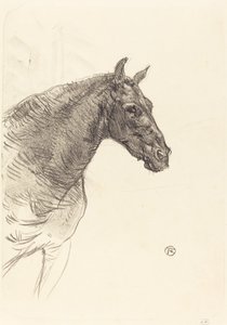 Oud Paard