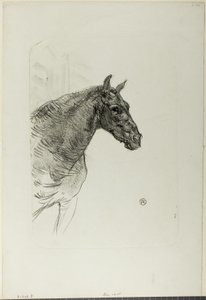 Philibert de pony