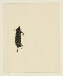 Vignet uit Au Pied du Sinaï door Henri de Toulouse Lautrec