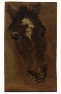 Paardenhoofd