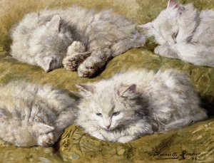 Studies van een langharige witte kat, 1896 door Henriëtte Ronner Knip
