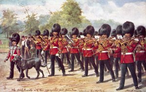 De Irish Guards marcheren met hun regimentsdier in het park