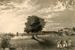 Sennicots door Henry Alexander Ogg